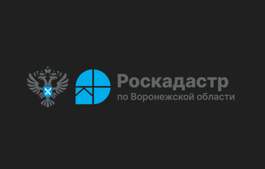 Воронежский Роскадастр подвел итоги 2024 года.