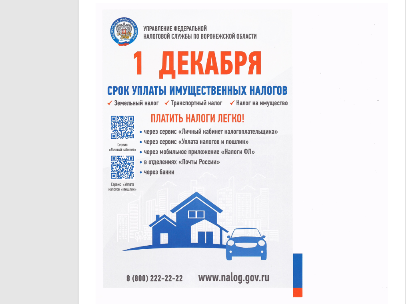 Напоминаем о сроках уплаты имущественных налогов.