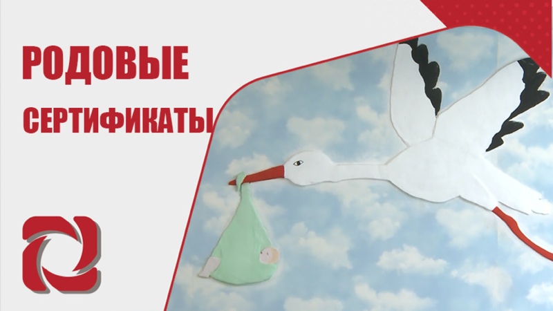 Более 38 тысяч женщин и новорожденных в Воронежской области получили услуги по родовым сертификатам в 2024 году.