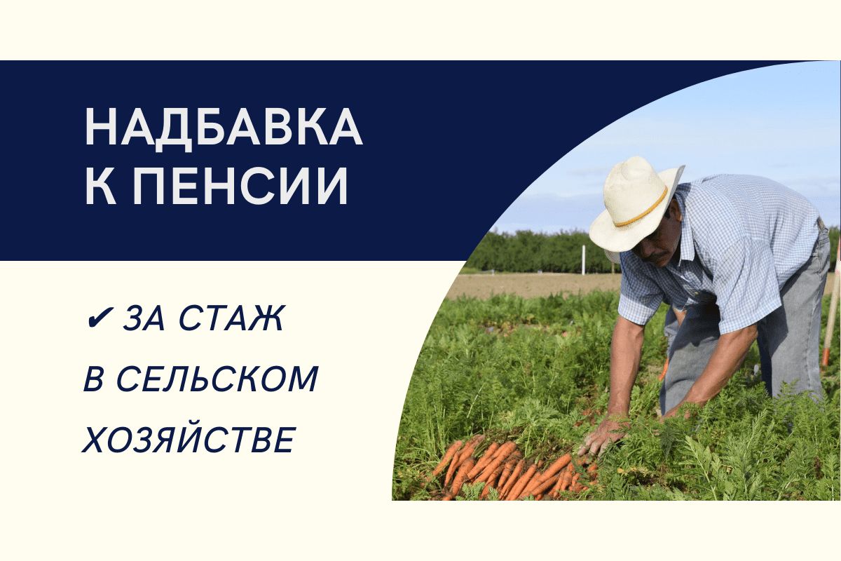 Более 23 тысяч жителей Воронежской области получают доплату к пенсии за работу в сельском хозяйстве.