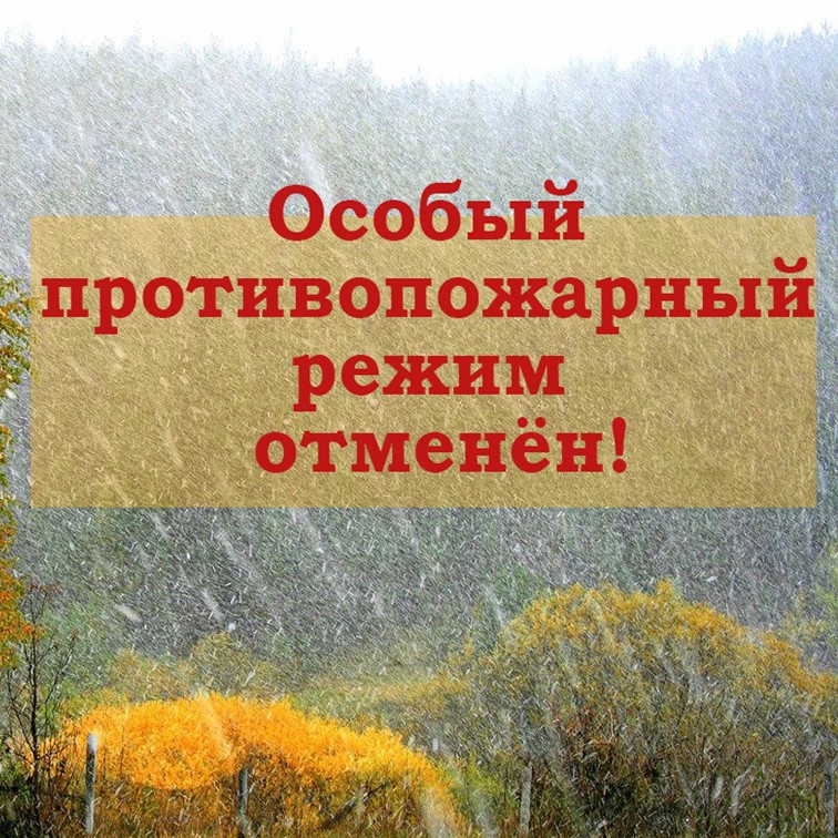 В Воронежской области отменен противопожарный режим.