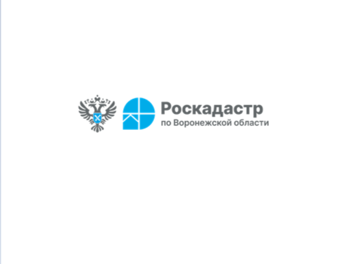 Воронежцам расскажут об изменении стоимости выписок из ЕГРН. Воронежцам расскажут об изменении стоимости выписок из ЕГРН.
