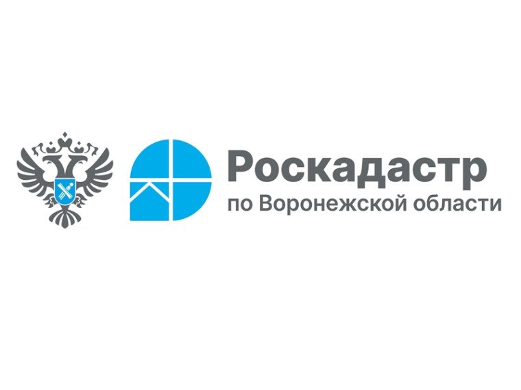 Региональный Роскадастр проведет горячую линию по вопросам рассмотрения обращений граждан. Региональный Роскадастр проведет горячую линию по вопросам рассмотрения обращений граждан.