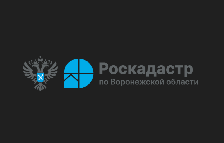 Воронежский Роскадастр подвел итоги 2024 года. Воронежский Роскадастр подвел итоги 2024 года.