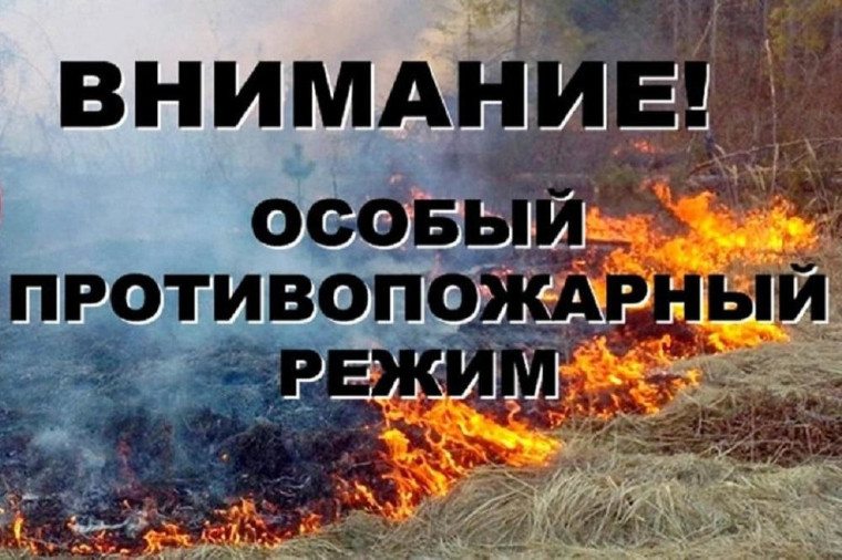 15 апреля 2025 года на территории Воронежской области вводится особый противопожарный режим. 15 апреля 2025 года на территории Воронежской области вводится особый противопожарный режим.