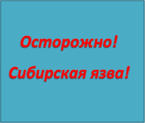 Осторожно! Сибирская язва.. Осторожно! Сибирская язва..